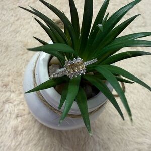 Bomb Party - She’s a Ten - Size 8